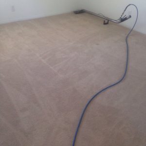 carpet cleaning ladera ranch