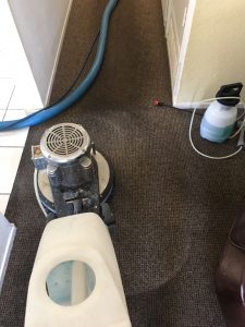 carpet cleaning east irvine