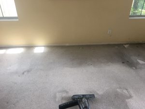 carpet cleaning foothill ranch