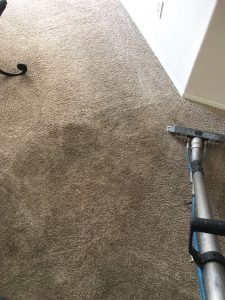carpet cleaning san clemente