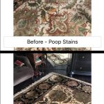 removing pet stains from a wool rug